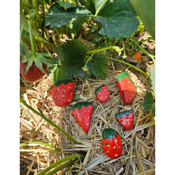 Strawberry Painted Rocks Garden Art Decor Paperweights Set of 6 - Picture 7 of 16